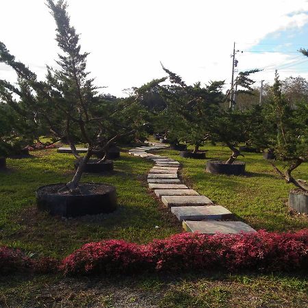 Du Du Hao B&B Luye Bagian luar foto