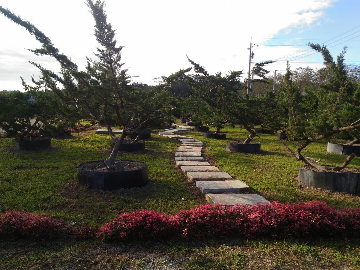 Du Du Hao B&B Luye Bagian luar foto